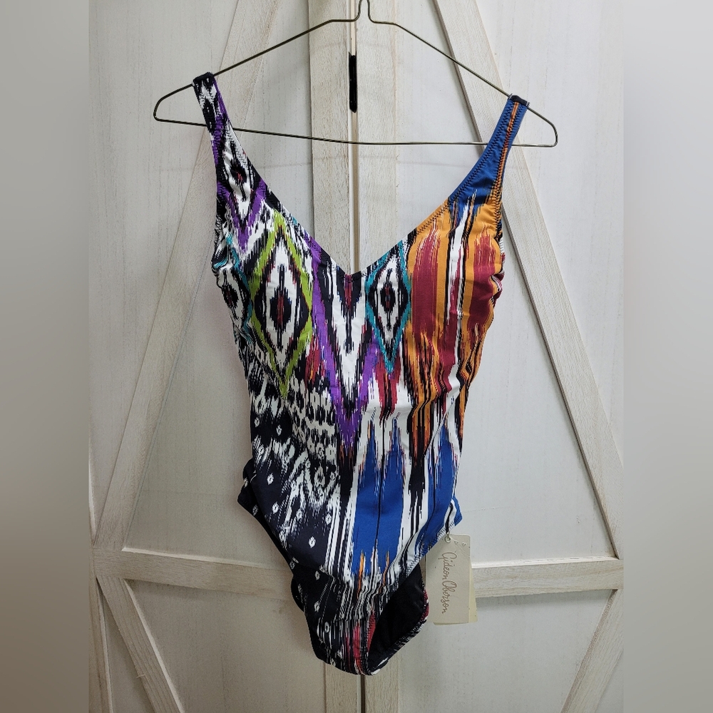 Gideon Oberson NWT Swimsuit